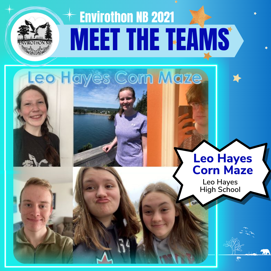 Envirothon NB LHHS Corn Maze Team