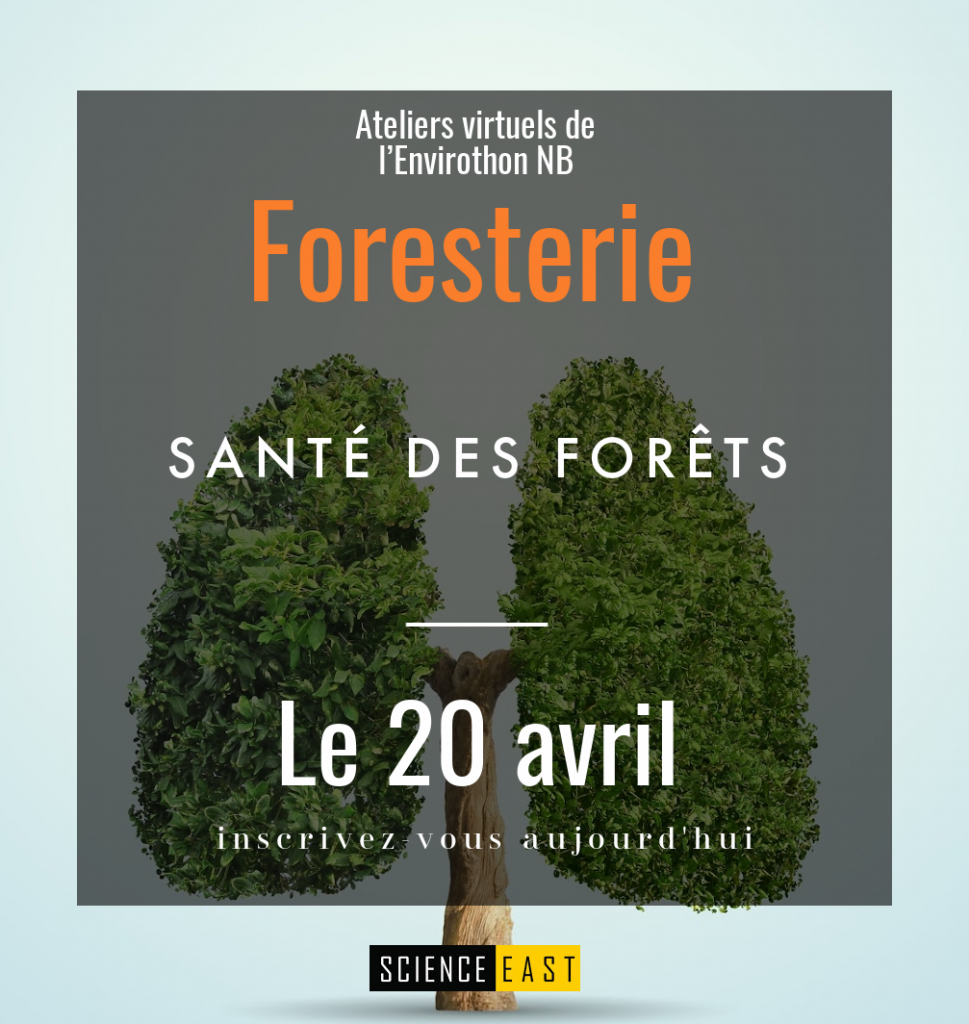 Forestry Workshop 2021 - Health fr