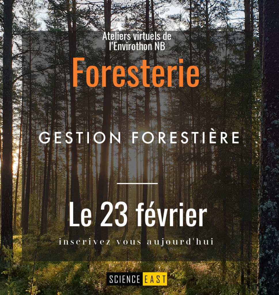 Forestry Workshop 2021 - Management fr