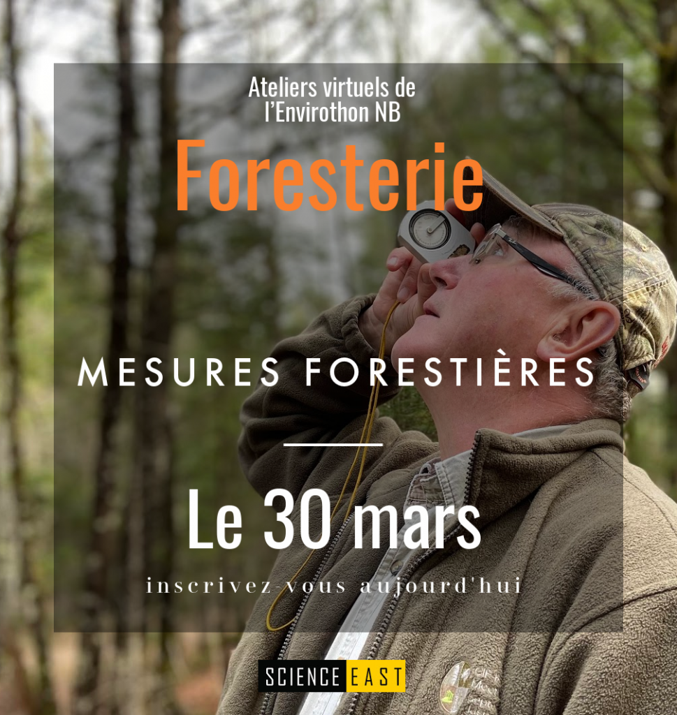 Forestry Workshop 2021 - Measurements fr