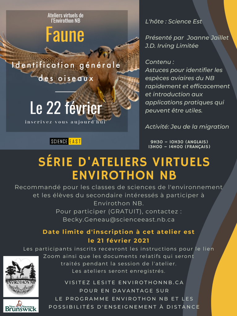 _Wildlife Workshop Poster Feb 22 FR